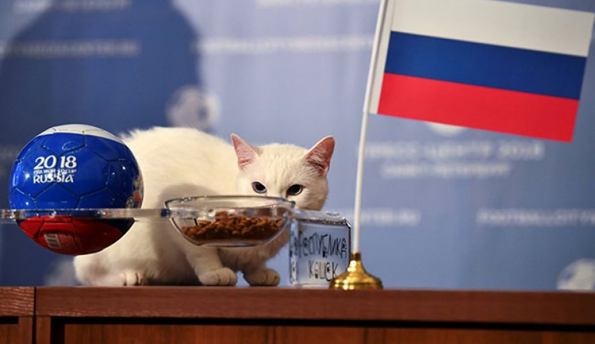  "قط الأرميتاج" تنبأ وكشف عن نتائج مونديال 2018!! 