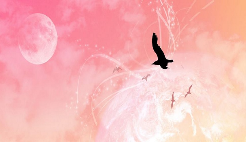 أخلاقنا...من أعظم المنجيات !