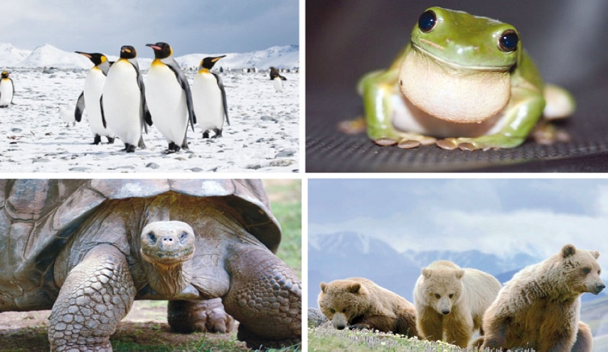 ما هي الحيوانات القادرة على العيش من دون طعام؟