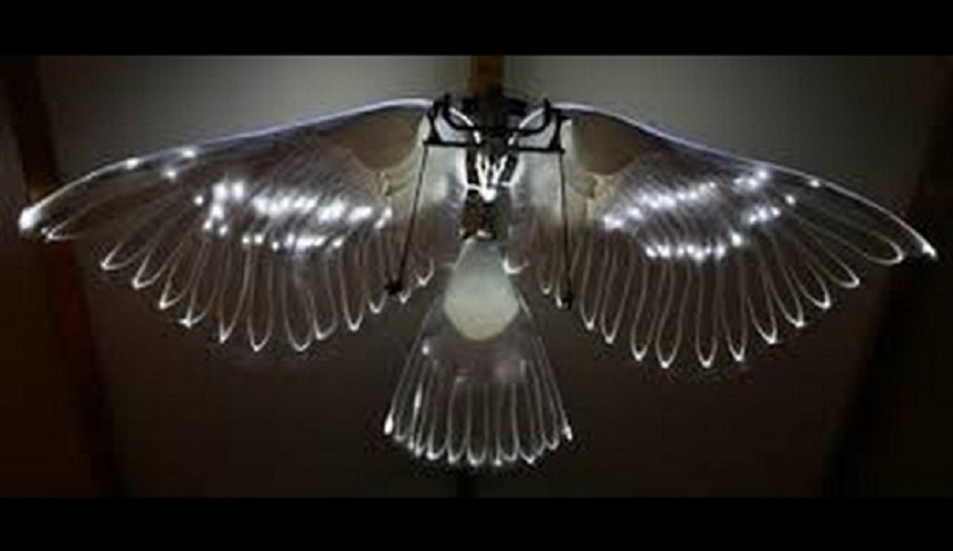 الحمامة الآلية.. أحدث وسائل التجسس في الصين (صور)