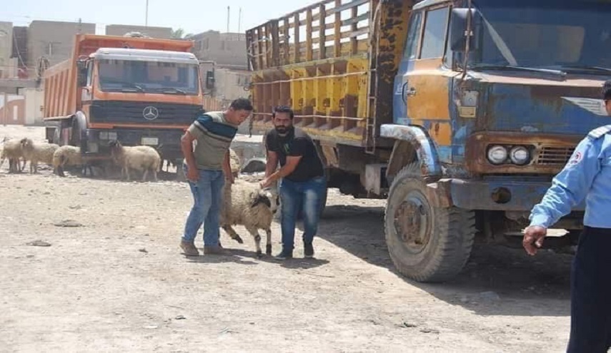 الصحة العراقية تعلن تسجيل 5 اصابات بالحمى النزفية منذ بداية 2018