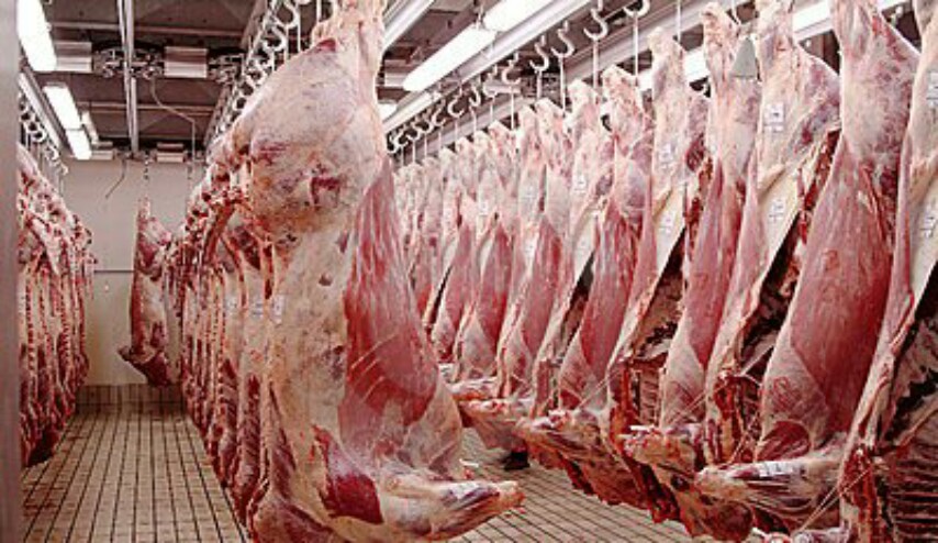 العراق .. توضيح حكومي عن الحمى النزفية وصلاحية إستهلاك اللحوم