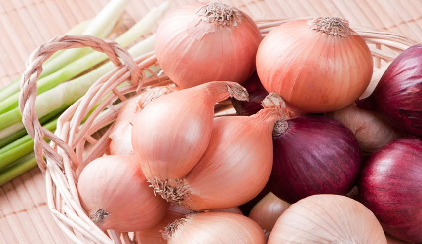 مدهش.. أهم الفوائد الصحية للبصل