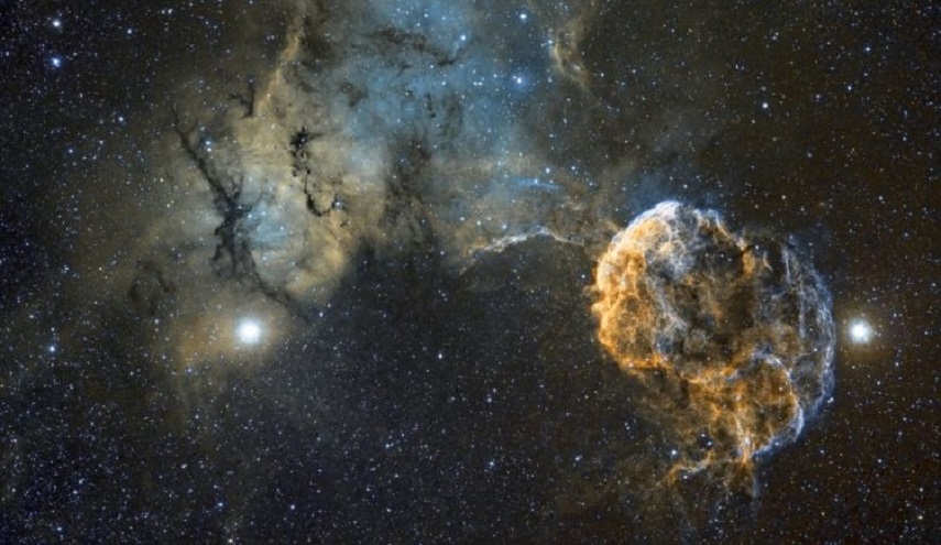 “رجل الحرب البرتغالي”… مخلوق غريب وخطير يثير الذعر على شواطئ المغرب