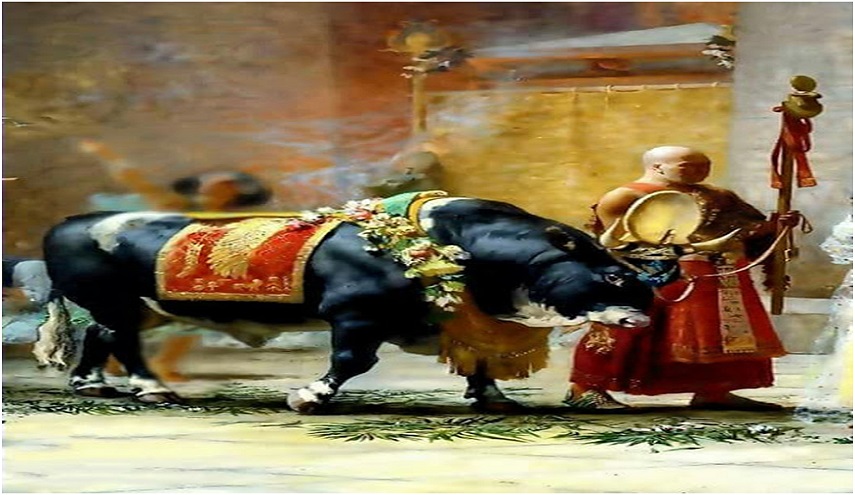 الوطن .. والبقرة .. والكاهن 