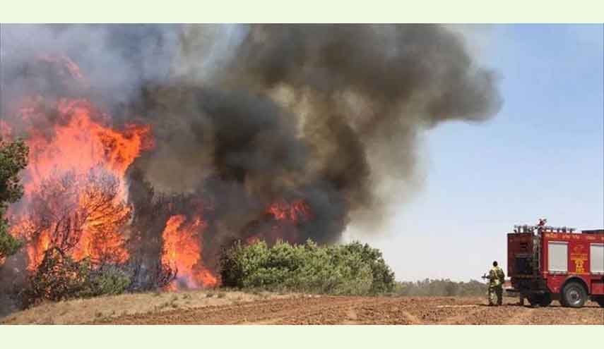 البالونات الورقية الحارقة تشعل 17 حريقًا في مستوطنات الاحتلال