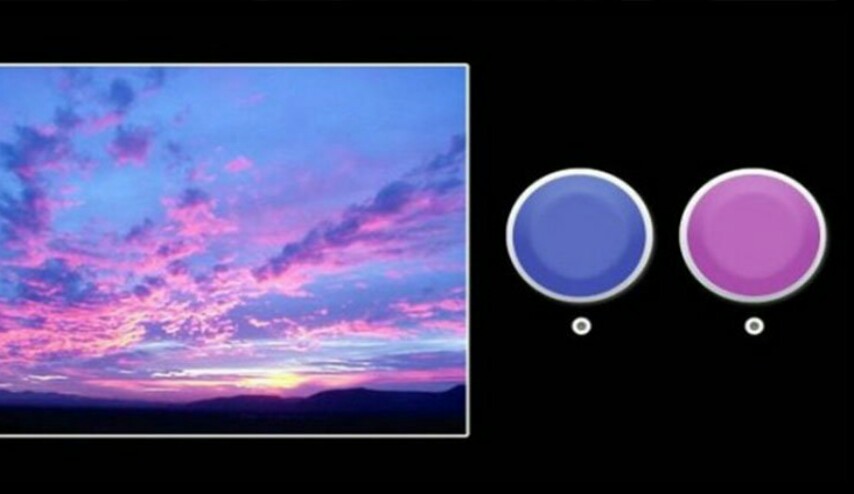 حدّد أي لون يجذبك في هذه الصورة.. واكتشف مزايا شخصيتك المخبّأة