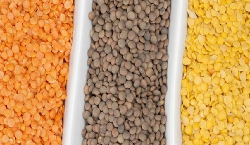 تعرف على فوائد العدس المذهلة لصحتك