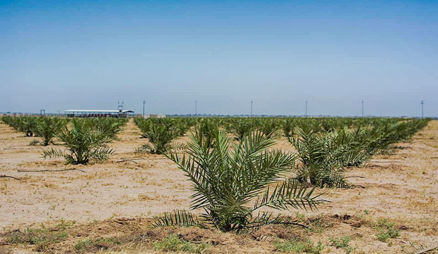 عتبات كربلاء المقدسة ستعيد العراق للصدارة.. في هذا المجال..؟