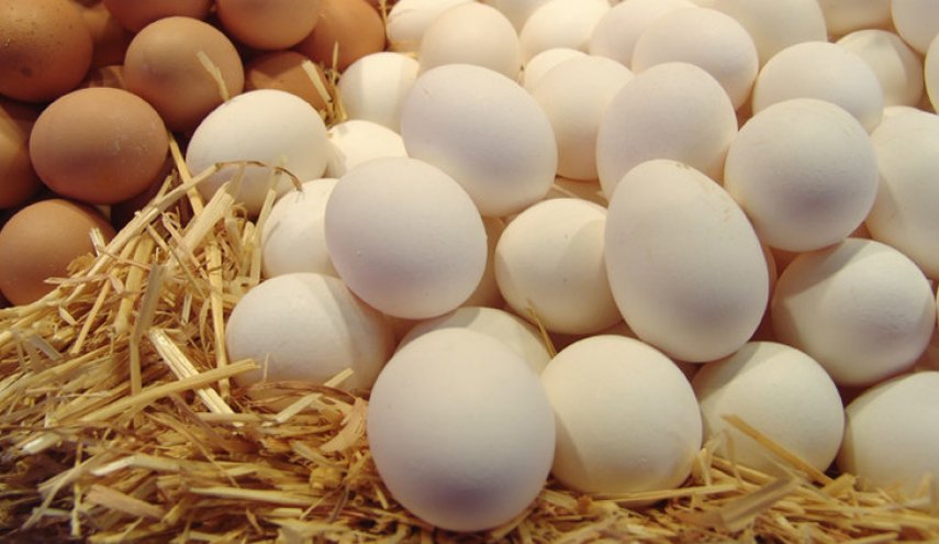 أيهما أفضل وضع البيض خارج الثلاجة أم داخلها؟