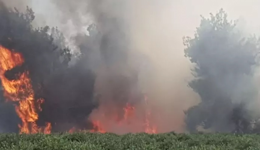 21حريقا في مستوطنات غلاف غزة  بسبب الطائرات الورقية