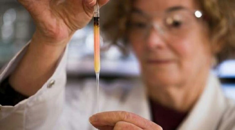 العثور على أقدم لون في التاريخ!