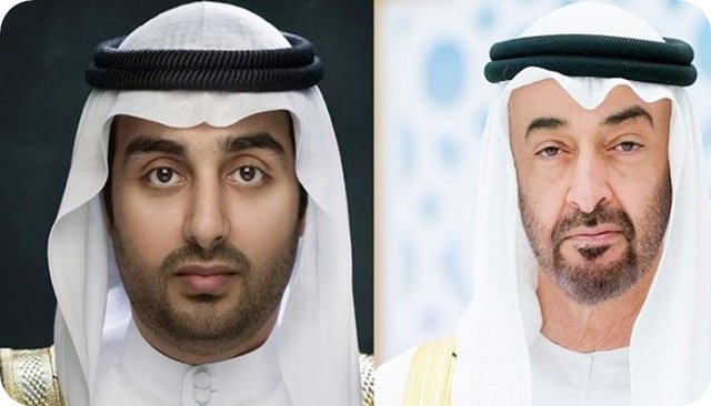 واکنش قرقاش به جدا شدن پسر حاکم اماراتی و پناهندگی وی به دوحه