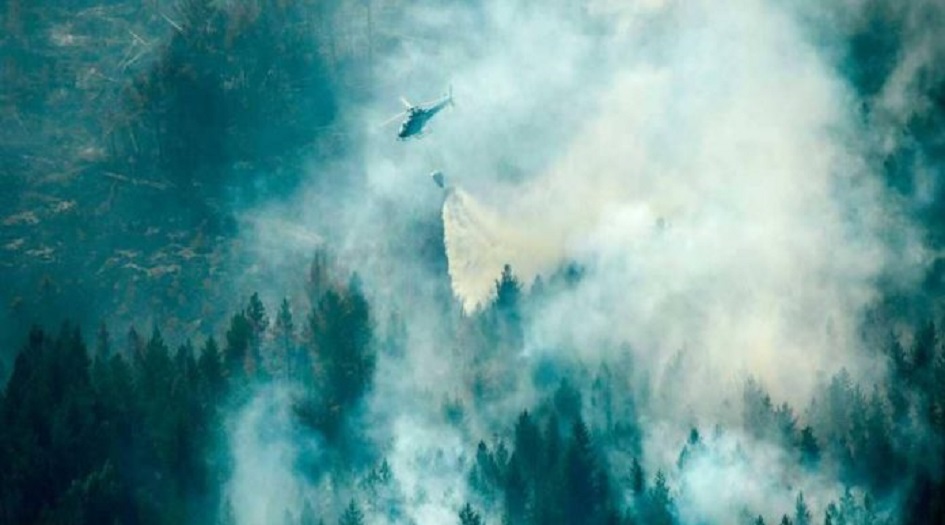 موجة الحر والحرائق بلغت “القطب الشمالي”