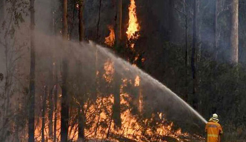 المغرب: 78 حريقا اجتاح الغابات منذ بداية عام 2018