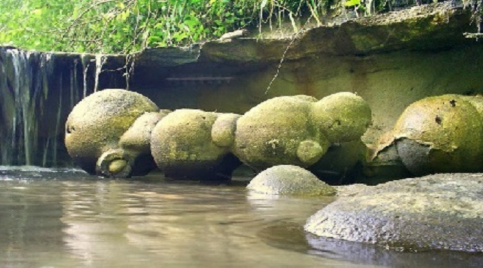 أحجار غريبة تنمـو وتتحـرك وتتكاثـر!!