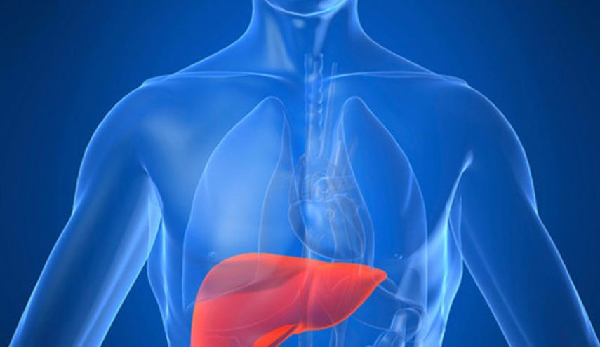 10 نصائح تحميكم من التهاب الكبد الوبائي..