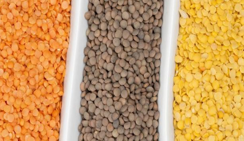دراسة: العدس أفضل للصحة من الأرز والبطاطس