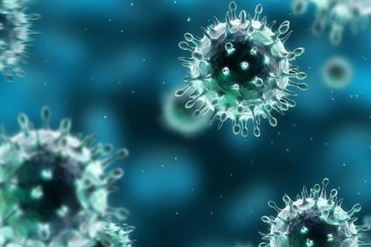 شیوع ویروسی که ممکن است یک میلیارد نفر را بکشد!