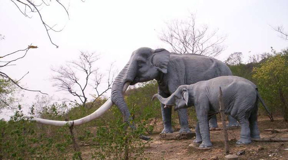 بالصور...  اكتشاف أقدم هيكل عظمي للحيوانات قبل 3 ملايين عام