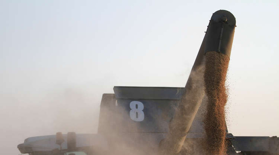 بالصور.. مصر تقاضي مواطن ابتكر أسلوبا جديدا في زراعة الأرز