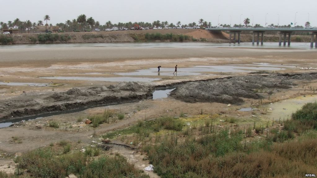 القطاع الزراعي في العراق ينفض أنفاسه الأخيرة والسبب..