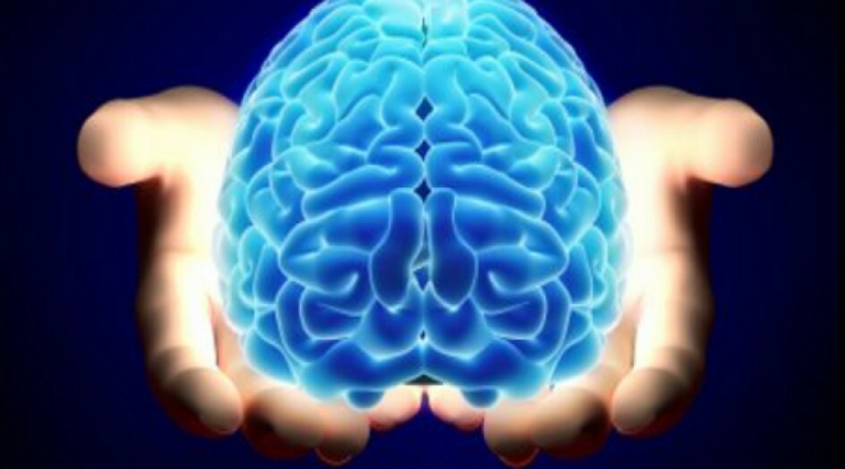 هذه الأطعمة تُسبب الخرف .. تجنبوها