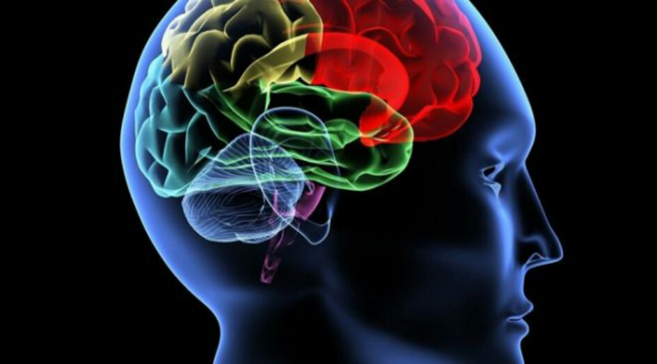 كيف تزيد من سعة ذاكرتك إلى الضعف خلال 40 يومًا فقط؟