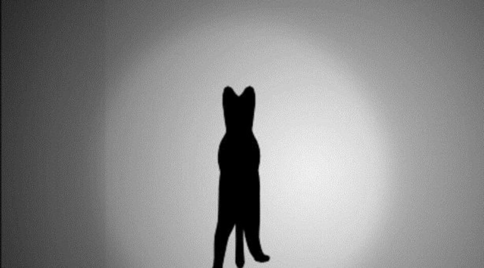 اختبار نفسي: دقق في الصورة وحدد اختيارك الذي سيكشف طبيعة شخصيتك! ‏