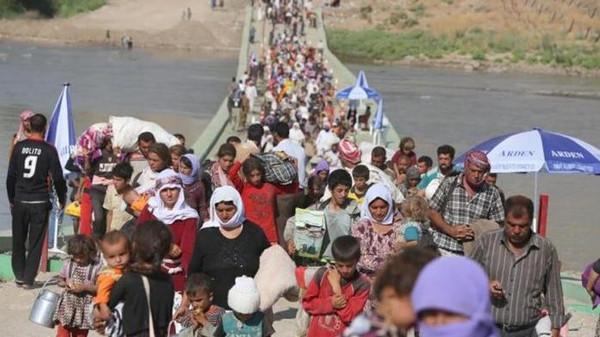 عودة 347 نازحاً من سوريا الى الموصل
