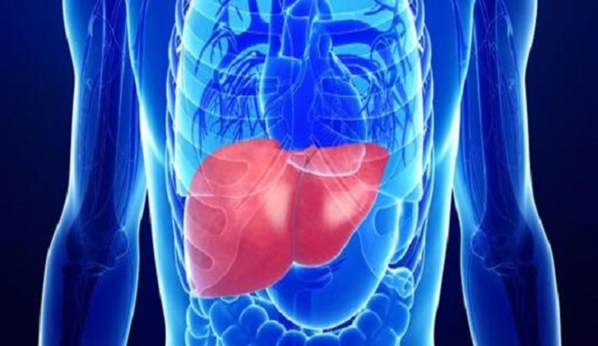 أمل جديد لمرضى تليف الكبد.. كشف قد يغني عن الزراعة