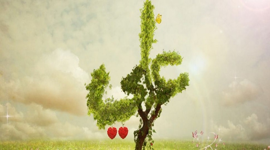 سماحة الشيخ مرسل نصر رئيس المحكمة الإستئنافية الدرزية...لماذا تحب عليا؟