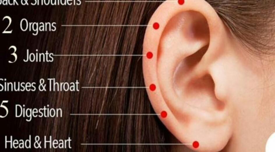 6 نقاط تدليك على الأذن لعلاج الأمراض المستعصية