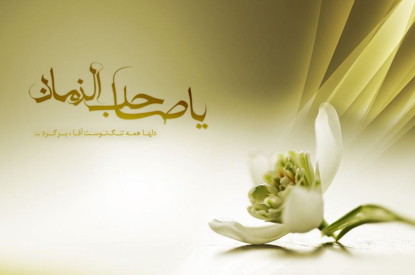 میزان احتمال و شرایط دیدار با امام زمان(عج) در عرفات