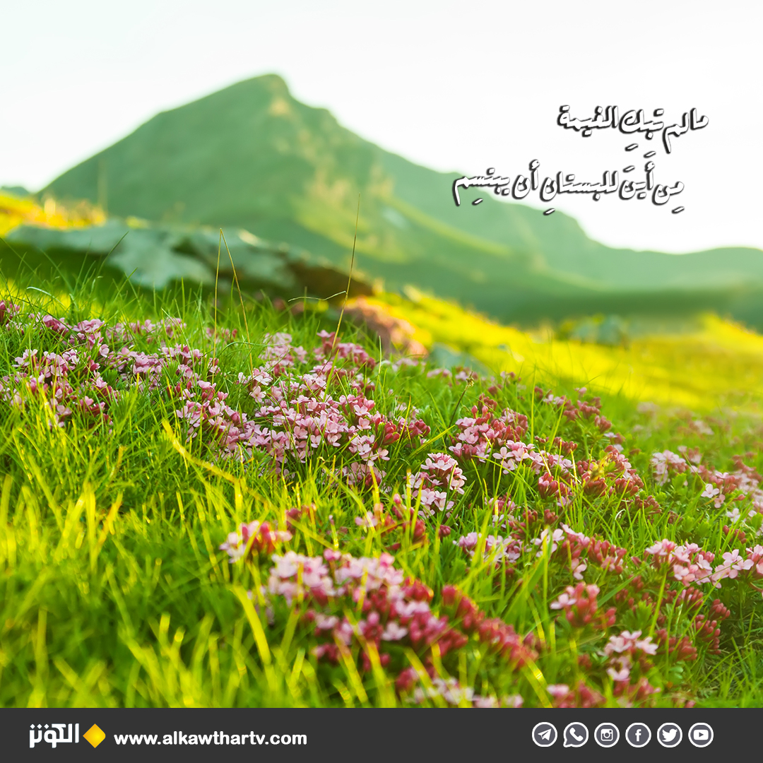 بكاء وإبتسامة الحياة