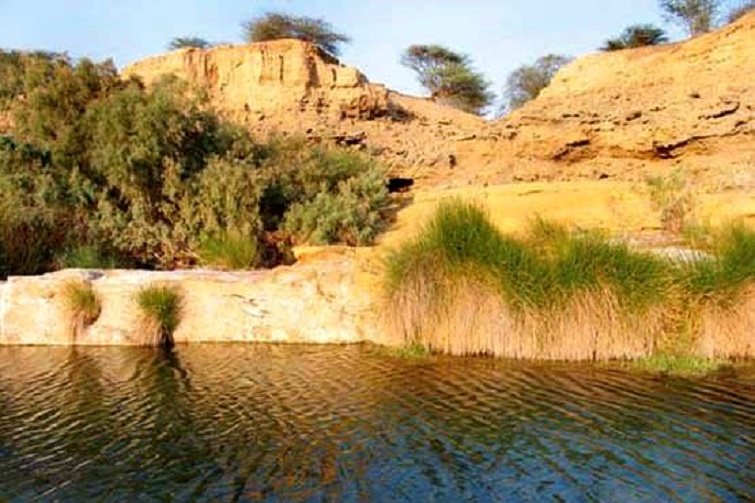 محل کنونی غدیر خم کجاست؟+تصاویر