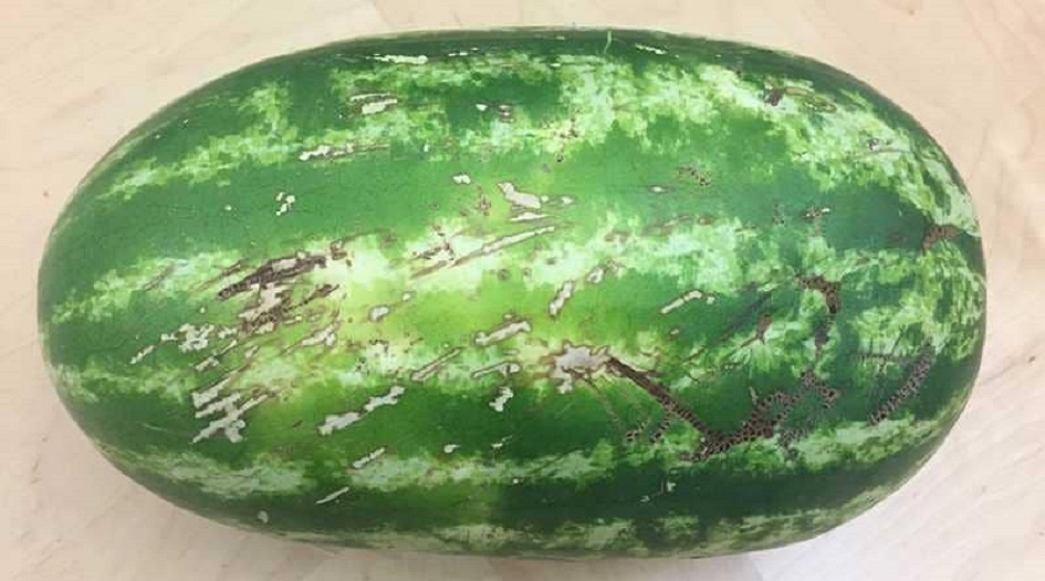 بنظرة فقط.. علامة لا تخطئ لاختيار البطيخة الحمراء