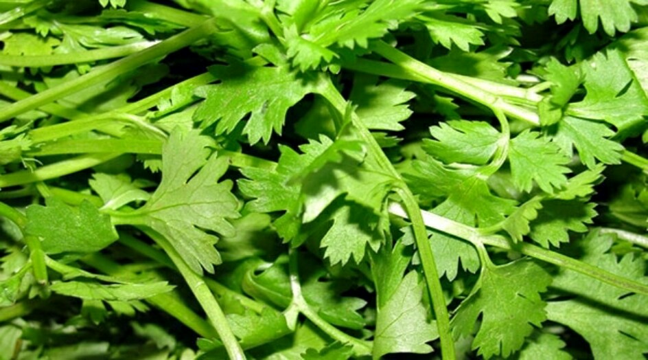 ماهي المواد الغذائية التي تحسن رائحة الفم؟