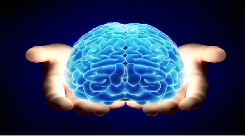  كيف تتتبع أدمغتنا الوقت؟ 