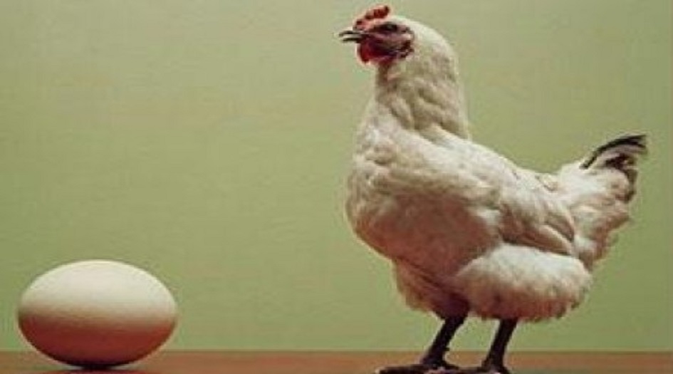  أخيراً.. العلماء يجيبون على البيضة أولاً أم الدجاجة؟