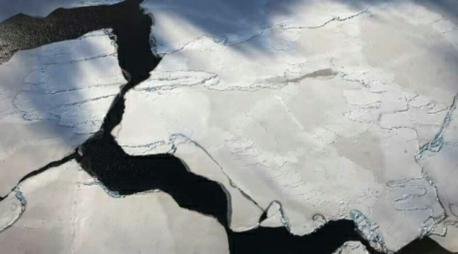 بالصور.. وحش جليدي هائل يثير مخاوف العلماء