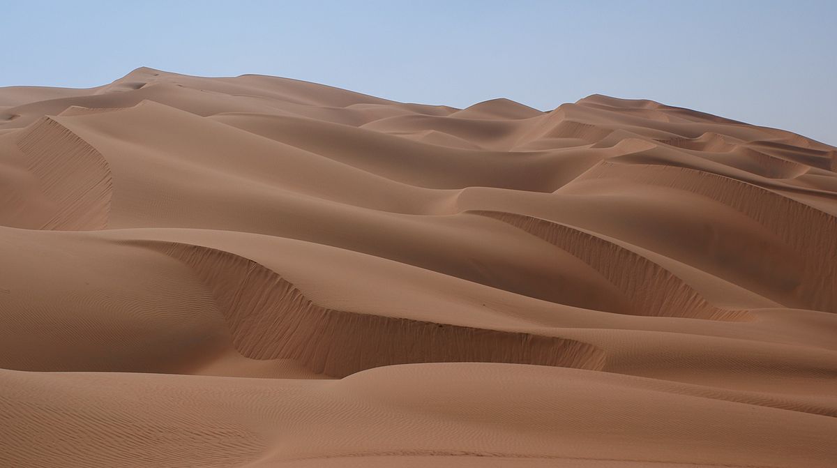 الصحاري ستتحول إلى خضراء بفضل التقنية