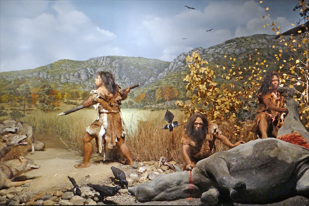 الإنسان البدائي بريء من إبادة الطيور العملاقة