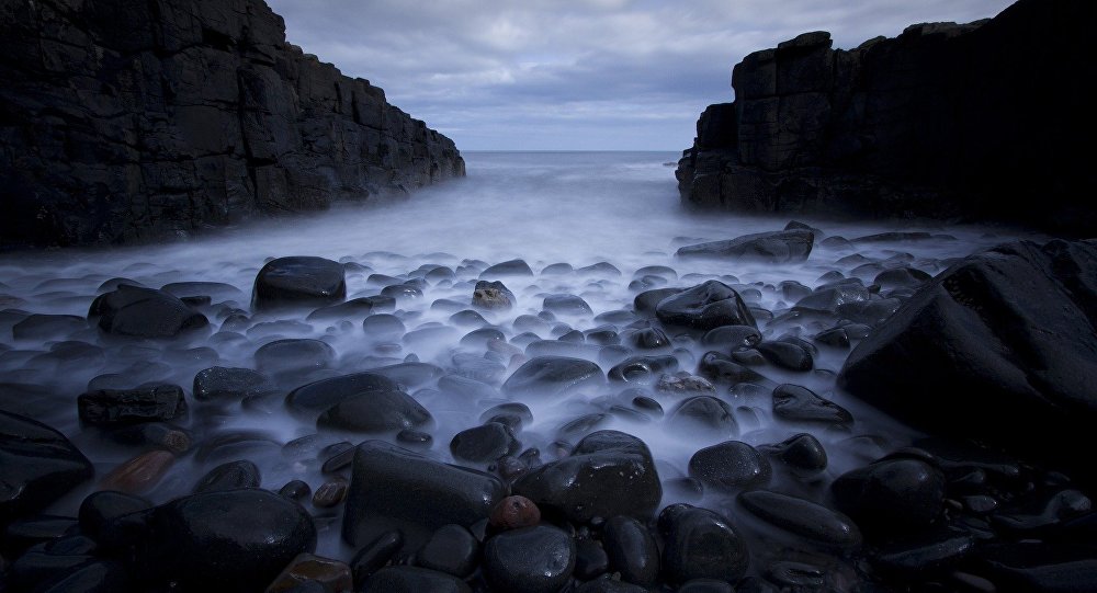 اكتشاف كائن بحري قادر على معالجة السرطان بدون آثار جانبية