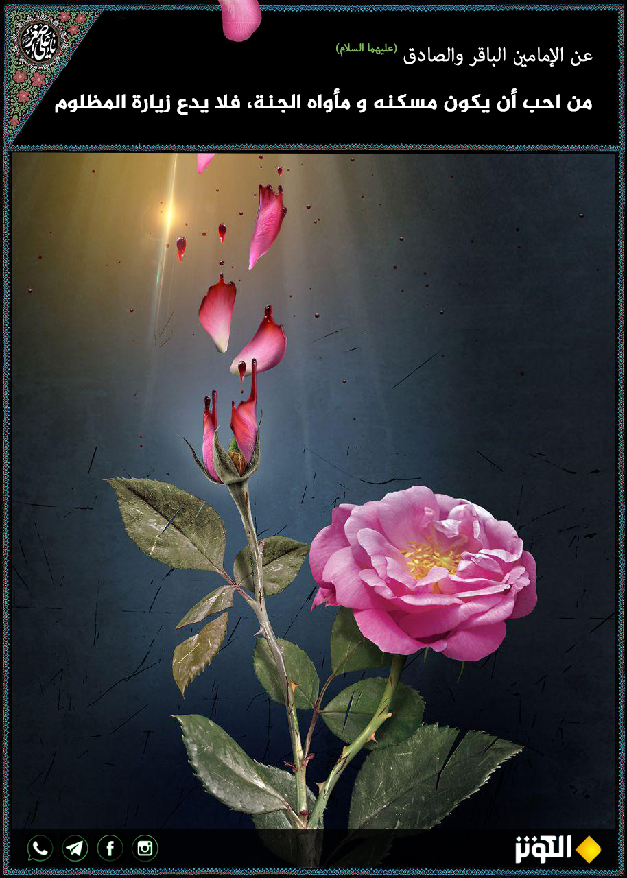 فضائل زيارة المظلوم