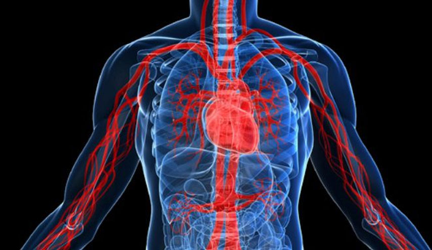 كيف تعرف أنك مصاب بضعف في الدورة الدموية؟