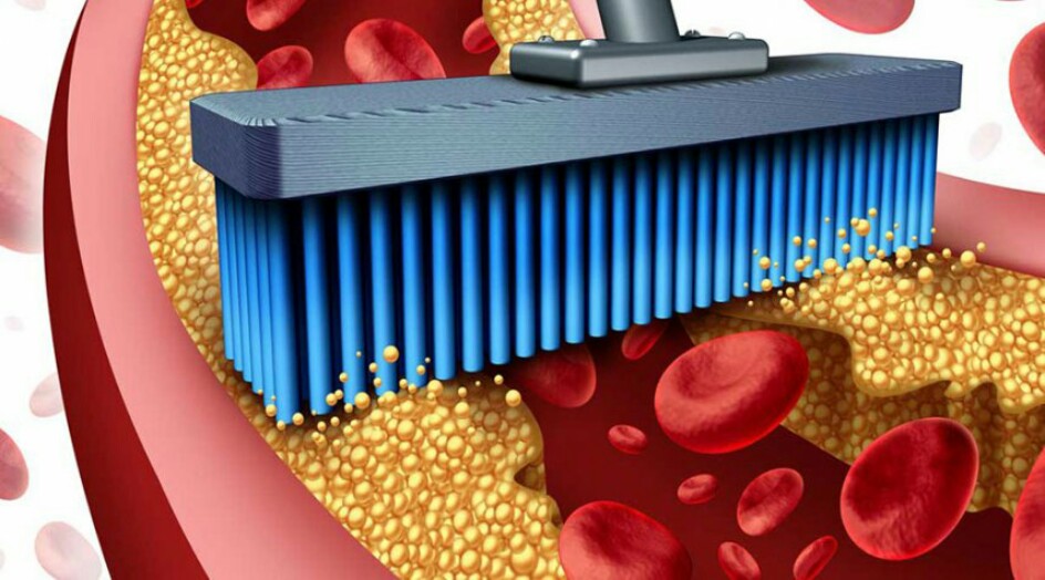 خلطة طبيعية لتنقية الشرايين وحل مشكلة الكوليسترول.. تعرّف عليها!