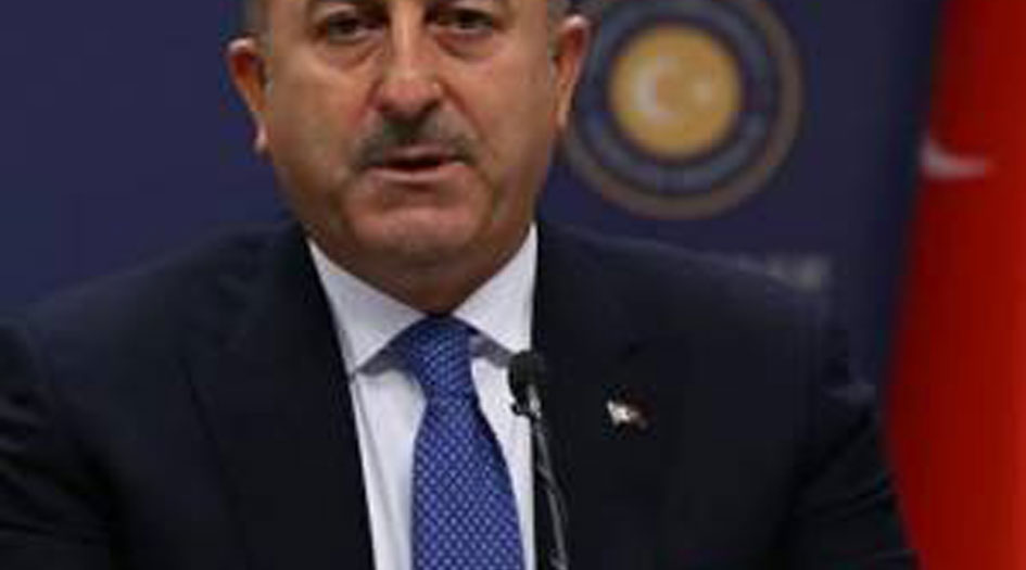 تركيا تدعو لاستخدام العملات المحلية بين دول مجموعة الثماني الإسلامية