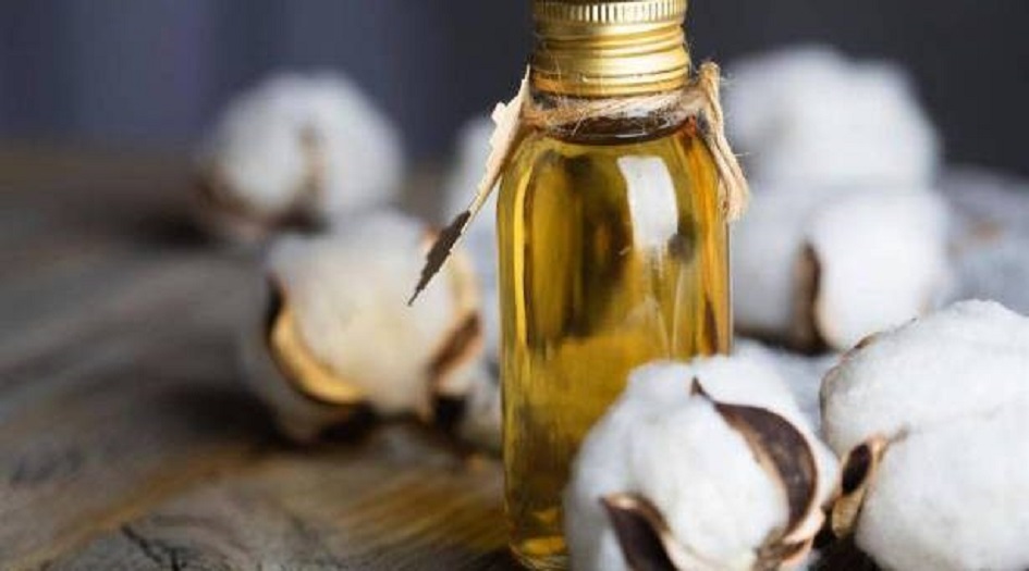 هذا ما يفعله زيت بذور القطن في الكوليسترول الضار بالدم