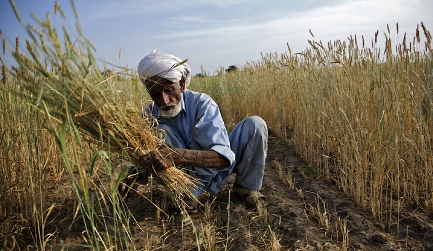 خبر سار للمزارعين في العراق!